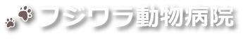 フジワラ動物病院