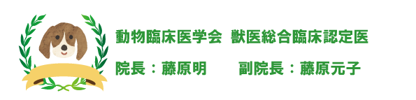 動物臨床医学会 獣医総合臨床認定医取得